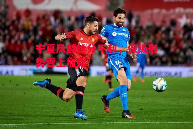 宁夏凤麟抢分不利,保级形势雪上加霜 宁夏凤麟抢分不利,保级形势雪上加霜