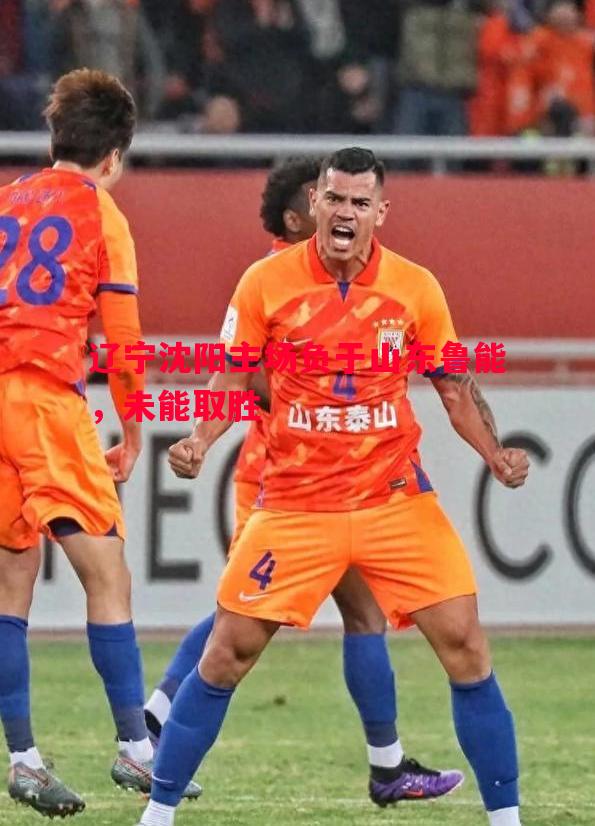 辽宁沈阳主场负于山东鲁能,未能取胜 辽宁沈阳主场负于山东鲁能,未能取胜
