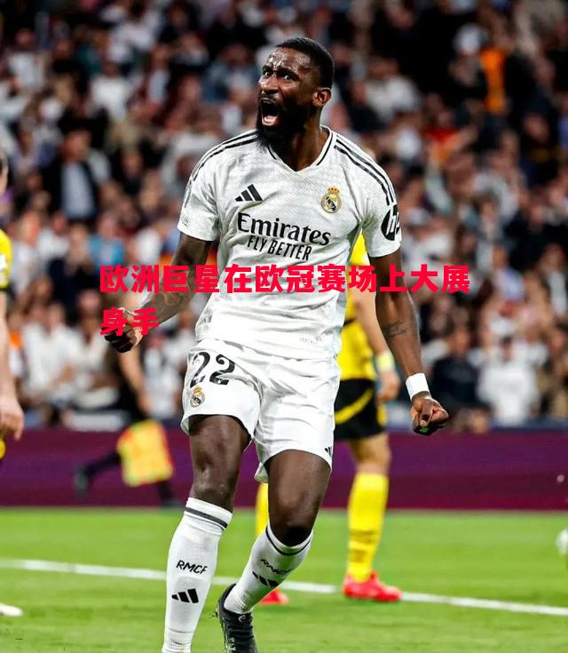 欧洲巨星在欧冠赛场上大展身手 欧洲巨星在欧冠赛场上大展身手