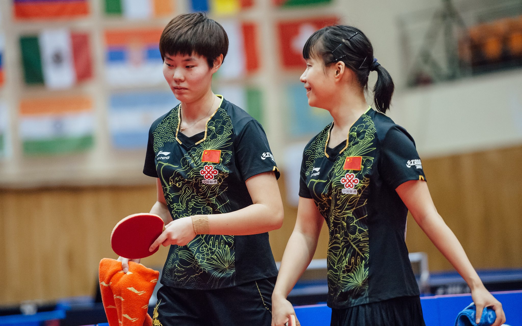 捷克对塞尔维亚,力争小组第二 捷克对塞尔维亚,力争小组第二