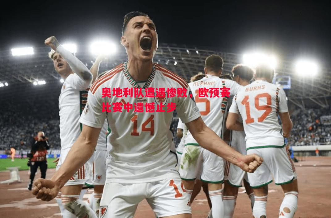 奥地利队遭遇惨败,欧预赛比赛中遗憾止步 奥地利队遭遇惨败,欧预赛比赛中遗憾止步