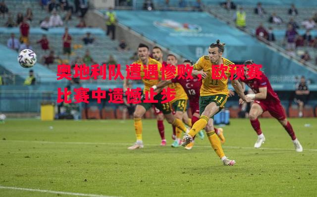 奥地利队遭遇惨败,欧预赛比赛中遗憾止步 奥地利队遭遇惨败,欧预赛比赛中遗憾止步