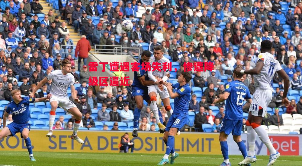 雷丁遭遇客场失利,惨遭降级区逼近 雷丁遭遇客场失利,惨遭降级区逼近