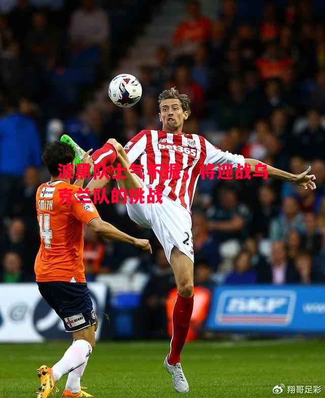 波黑队士气不振,将迎战乌克兰队的挑战 波黑队士气不振,将迎战乌克兰队的挑战