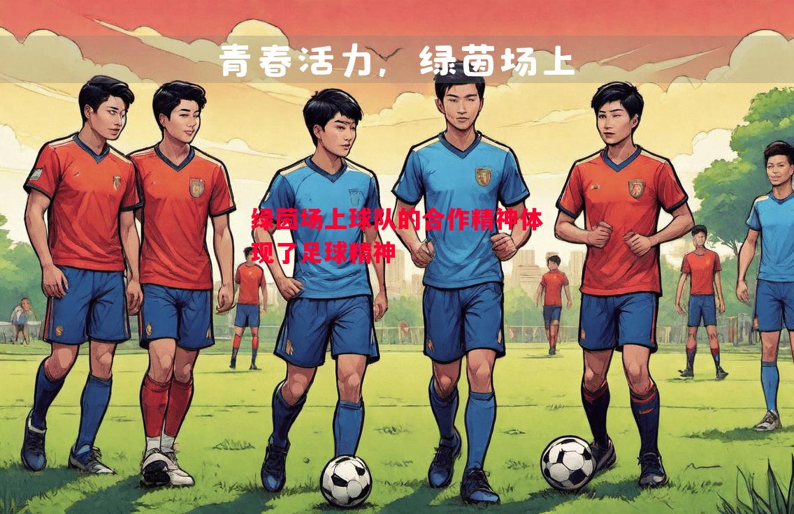 绿茵场上球队的合作精神体现了足球精神 绿茵场上球队的合作精神体现了足球精神
