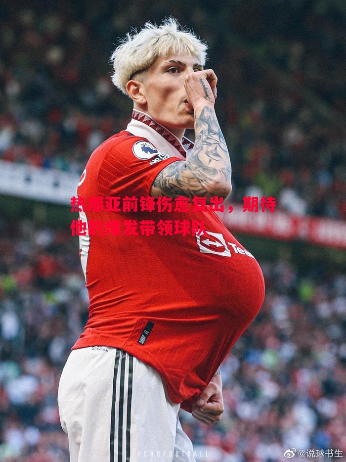 热那亚前锋伤愈复出,期待他的爆发带领球队 热那亚前锋伤愈复出,期待他的爆发带领球队