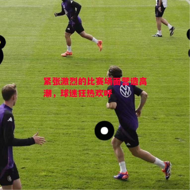 紧张激烈的比赛场面营造高潮,球迷狂热欢呼 紧张激烈的比赛场面营造高潮,球迷狂热欢呼