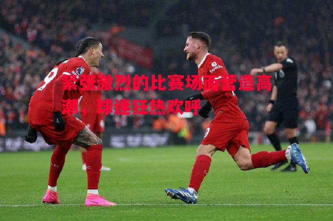 紧张激烈的比赛场面营造高潮,球迷狂热欢呼 紧张激烈的比赛场面营造高潮,球迷狂热欢呼