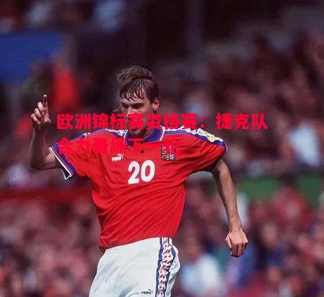 欧洲锦标赛资格赛:捷克队合力晋级下一轮 欧洲锦标赛资格赛:捷克队合力晋级下一轮