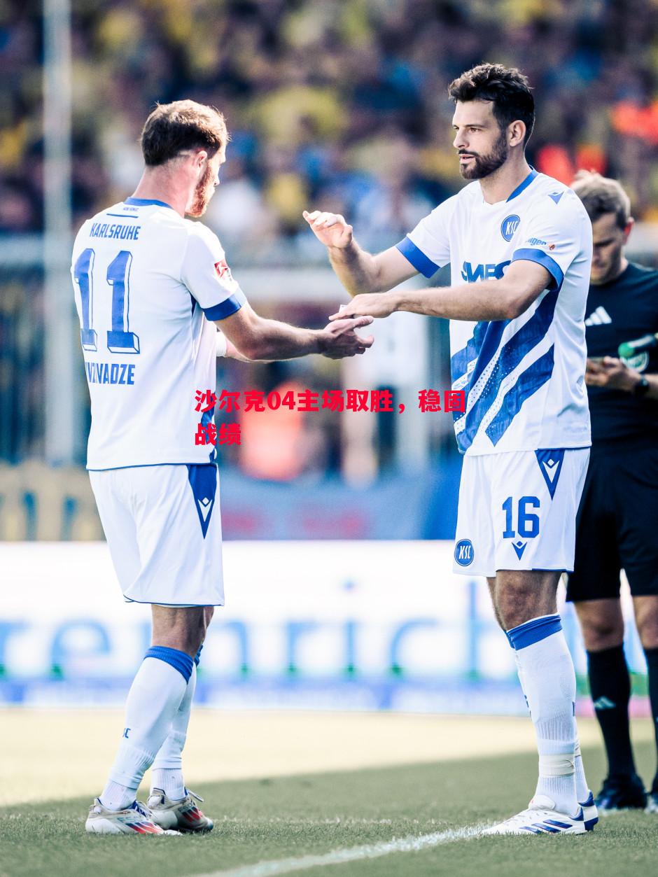沙尔克04主场取胜,稳固战绩 沙尔克04主场取胜,稳固战绩