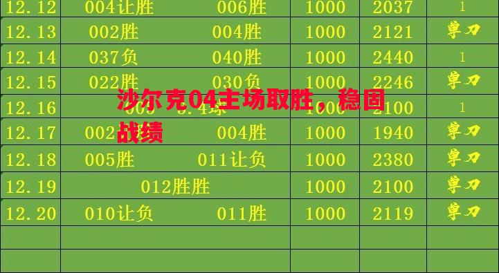 沙尔克04主场取胜,稳固战绩 沙尔克04主场取胜,稳固战绩