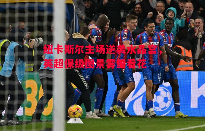 德信体育-纽卡斯尔主场逆袭水晶宫，英超保级图景雾里看花